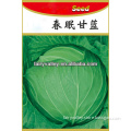 High Quality Early Mature Chinese Green/Purple Red Cabbage Seed For Sale